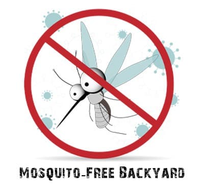 mosquito-free yard