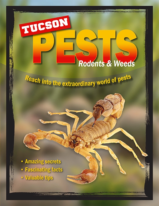 Pest Control Tucson Az Conquistador
