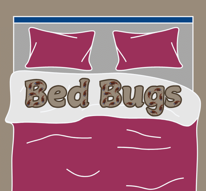 Freeloading Bed Bugs