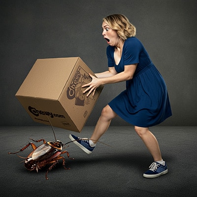 Woman Throwing A Large Box On A Roach