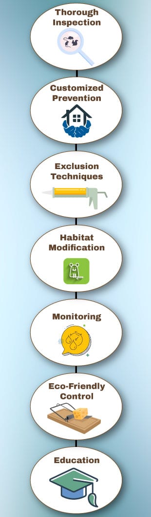 Winter rodent control in Tucson. Integrated Pest control for rodents.