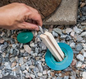 Termite Baiting for Better Control