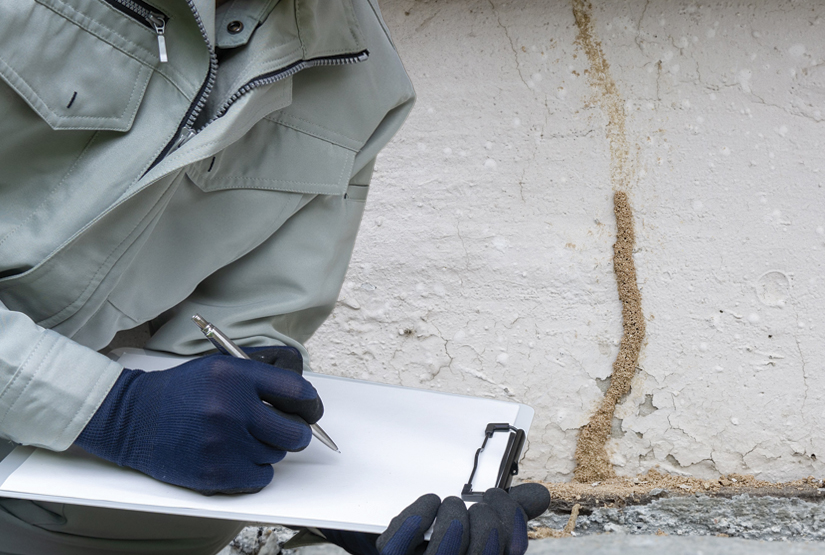 free termite inspection for termite baiting statiions