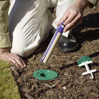 sentricon termite treatment continuous protection